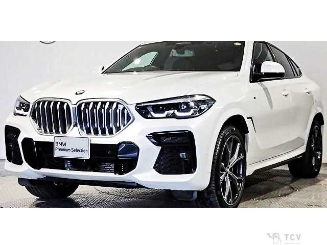 2022 BMW X6