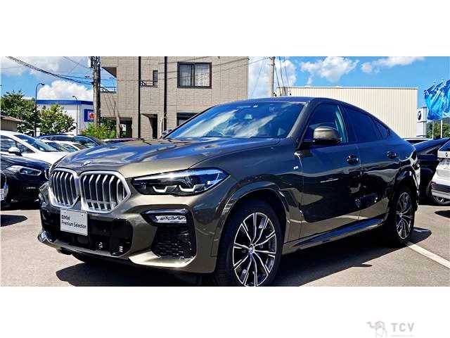 2021 BMW X6