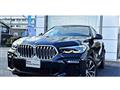 2021 BMW X6