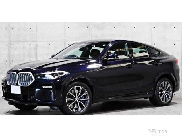 2020 BMW X6