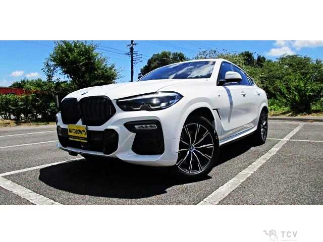 2020 BMW X6
