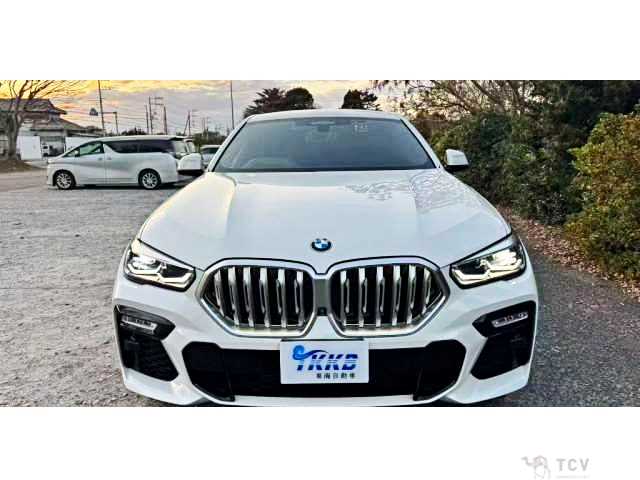 2020 BMW X6