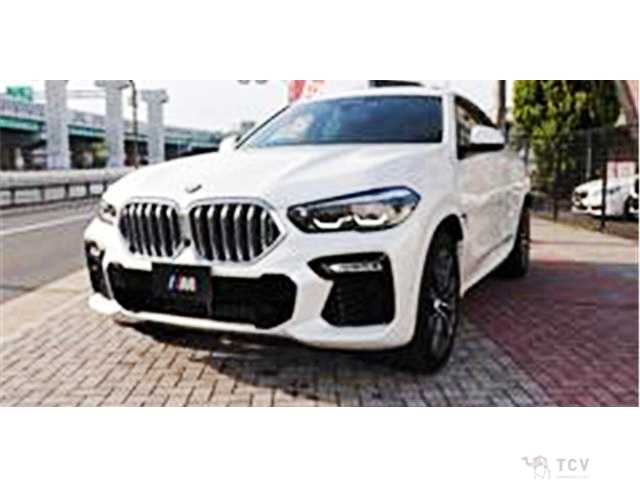 2020 BMW X6
