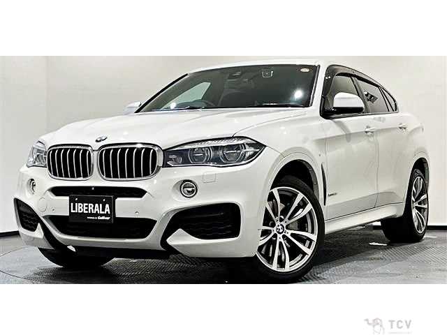 2019 BMW X6