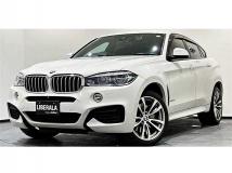 2019 BMW X6