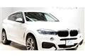 2019 BMW X6