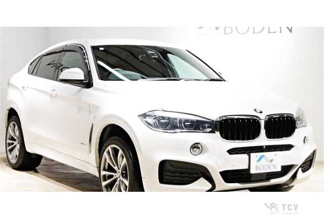2019 BMW X6