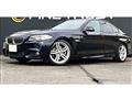 2013 BMW 5 Series