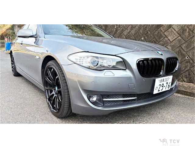 2010 BMW 5 Series