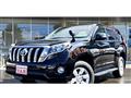 Toyota/Land Cruiser Prado