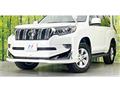 2019 Toyota Land Cruiser Prado
