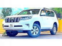2019 Toyota Land Cruiser Prado