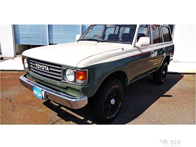 1996 Toyota Land Cruiser
