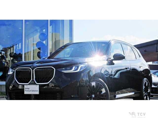2025 BMW X3