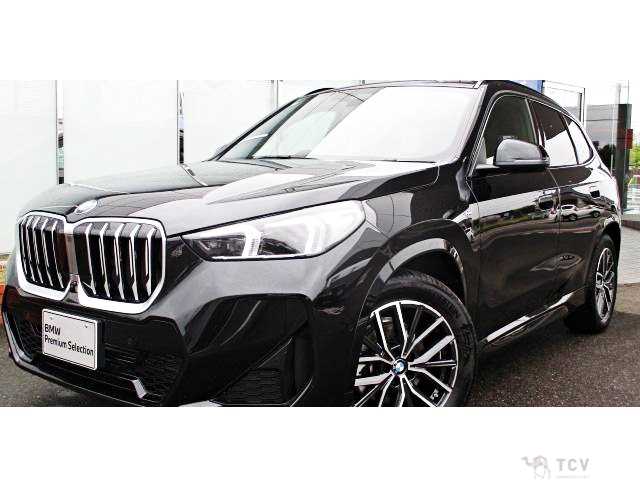 2025 BMW X1
