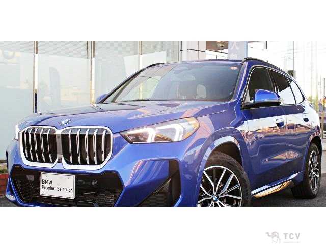 2025 BMW X1