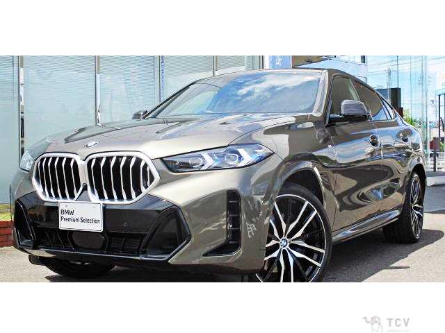 2025 BMW X6