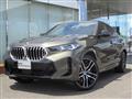 2025 BMW X6