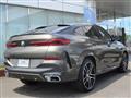 2025 BMW X6