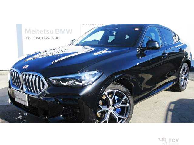 2023 BMW X6