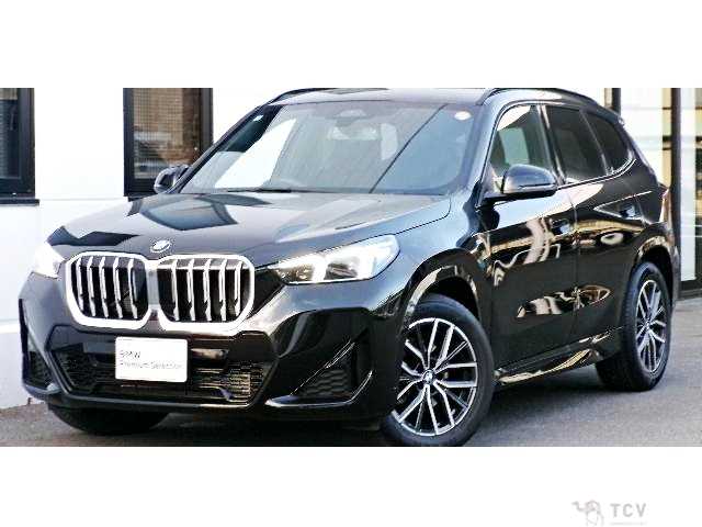 2025 BMW X1
