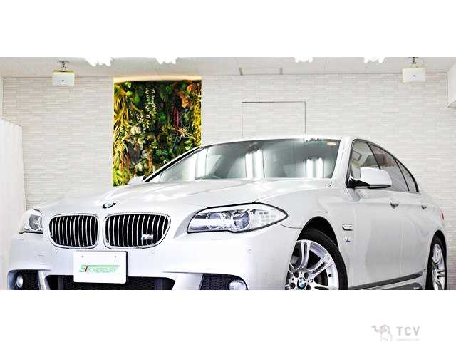 2013 BMW 5 Series