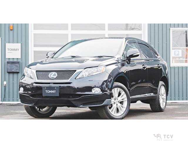 2011 Lexus RX