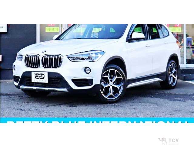 2018 BMW X1