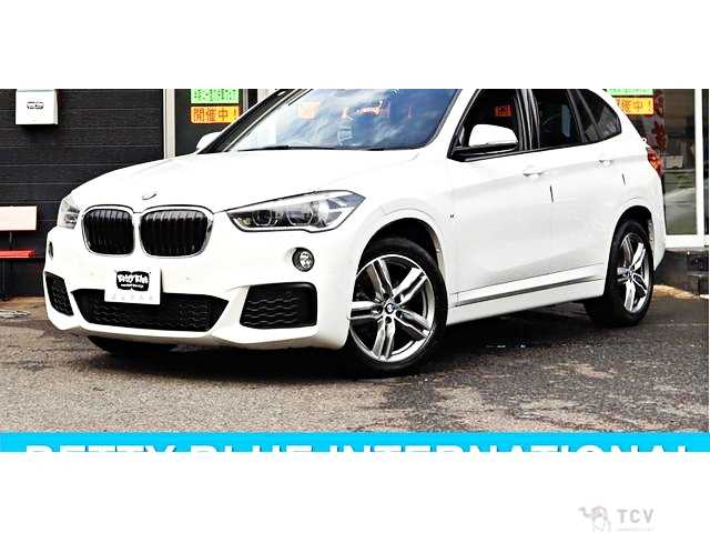 2019 BMW X1