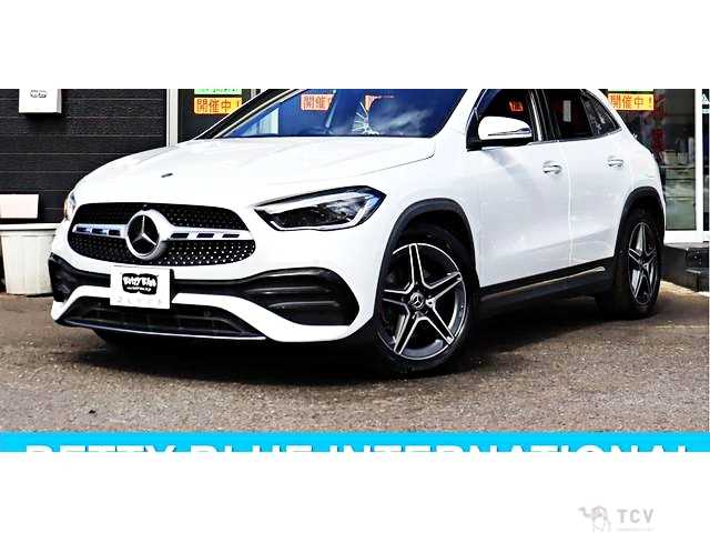 2020 Mercedes-Benz A-Class