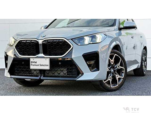 2024 BMW X2