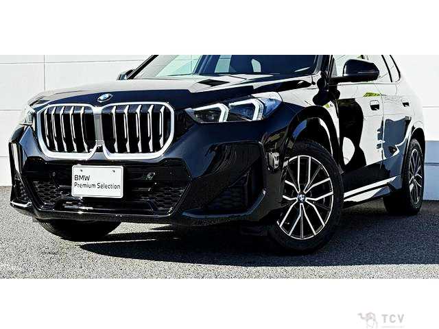 2025 BMW X1