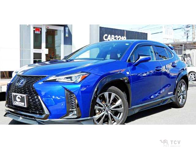 2019 Lexus Other