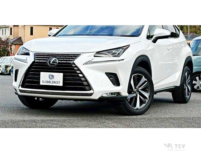 2018 Lexus NX