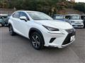 2018 Lexus NX