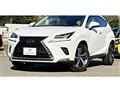 2020 Lexus NX