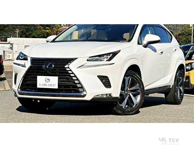 2020 Lexus NX