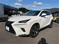 2020 Lexus NX