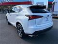 2020 Lexus NX