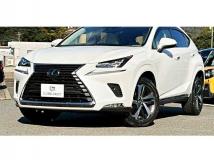 2020 Lexus NX