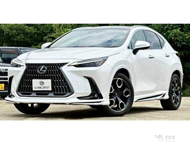 2023 Lexus NX