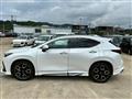 2023 Lexus NX