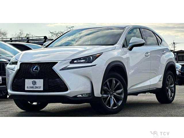 2016 Lexus NX