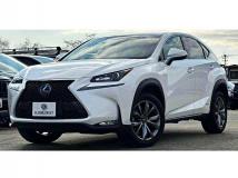 2016 Lexus NX