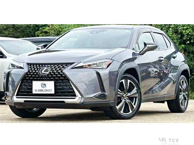 2018 Lexus Other