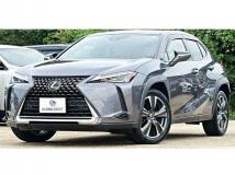 2018 Lexus Other