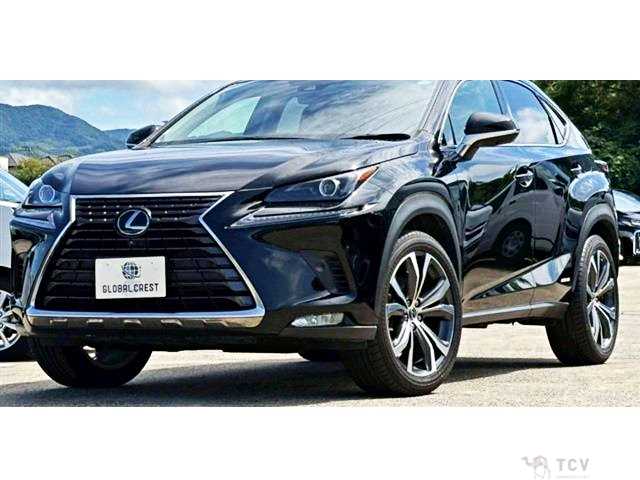 2020 Lexus NX