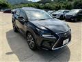 2020 Lexus NX