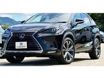 2020 Lexus NX