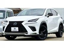 2019 Lexus NX